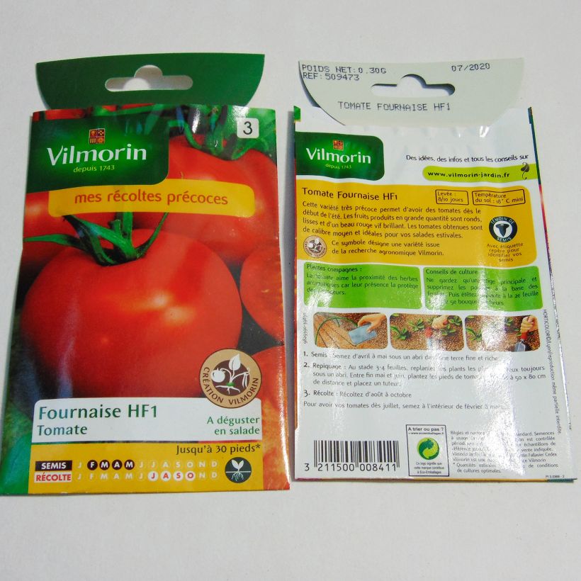 Example of Fournaise F1 Tomato - Vilmorin seeds per pack of 90 seeds (0.3g) specimen as delivered