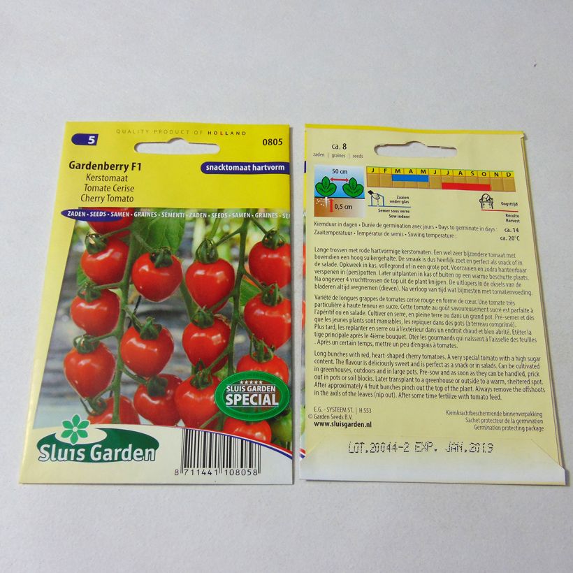 Example of Gardenberry F1 Tomato - Cherry Tomato per pack of 7 seeds specimen as delivered
