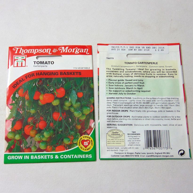 Example of Tomato Gartenperle per pack of 20 seeds specimen as delivered