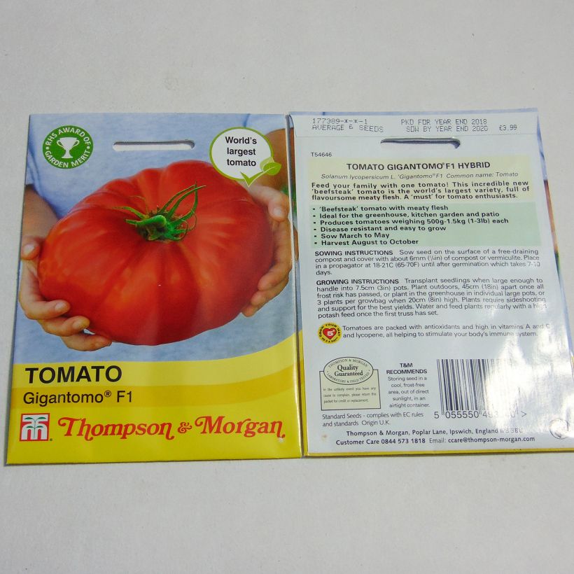 Example of Tomato Gigantomo F1 specimen as delivered