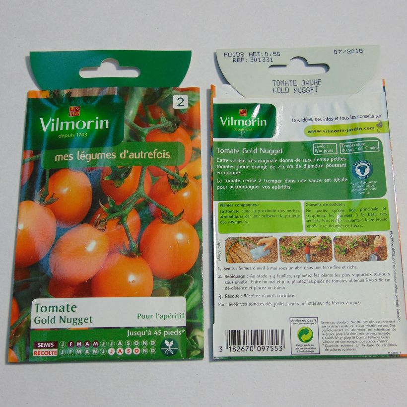 Example of Gold Nugget Tomato - Vilmorin seeds per pack of 150 seeds (0.5g) specimen as delivered