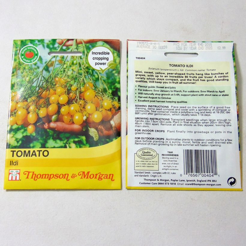 Example of Tomato Ildi per pack of 40 seeds specimen as delivered