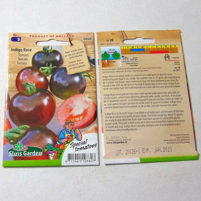 Example of Indigo Rose Tomato per pack of 15 seeds specimen as delivered