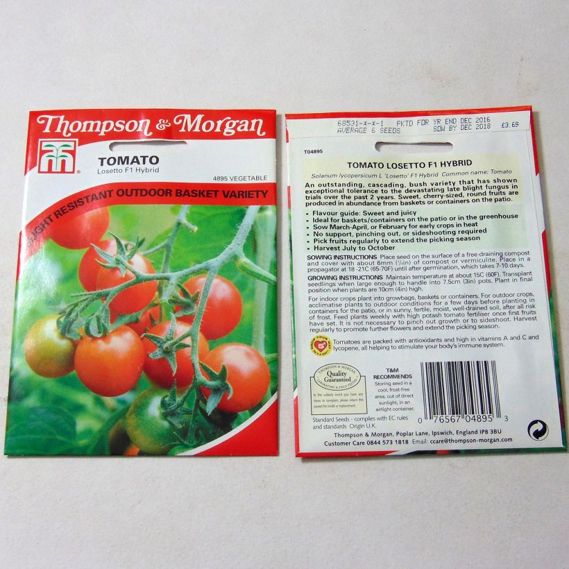 Example of Tomato Losetto F1 per pack of 6 seeds specimen as delivered