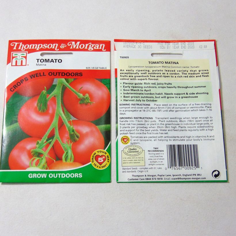 Example of Tomato Matina per pack of 30 seeds specimen as delivered