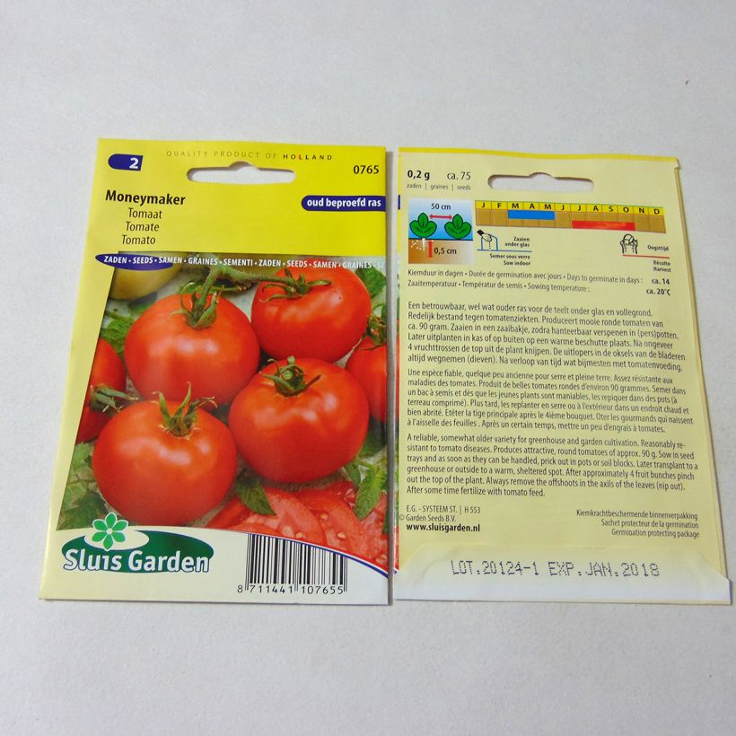 Example of Tomato Moneymaker per pack of 300 seeds (1g) specimen as delivered