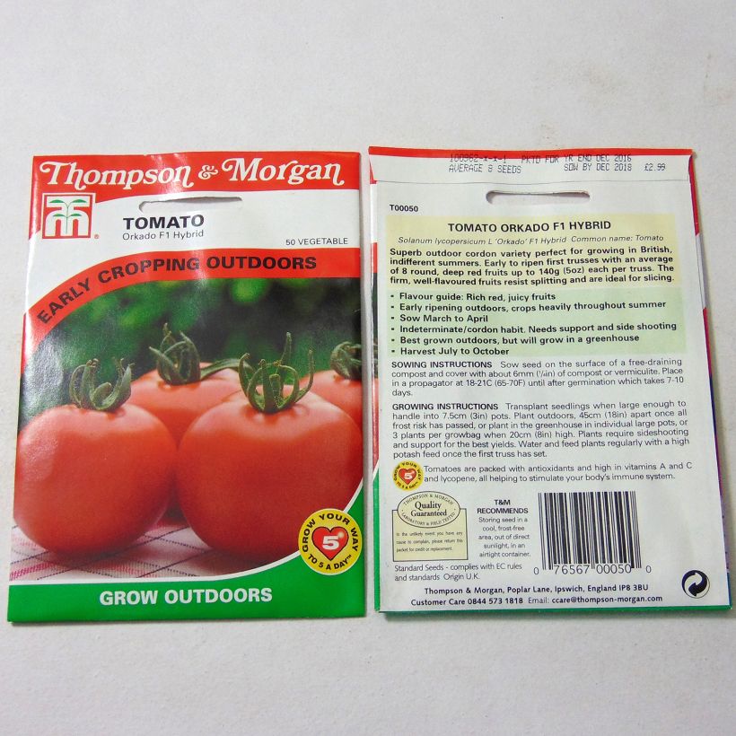 Example of Tomato Orkado per pack of 8 seeds specimen as delivered