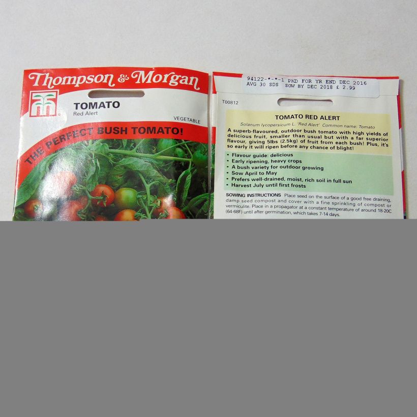 Example of Tomato Red Alert per pack of 30 seeds specimen as delivered