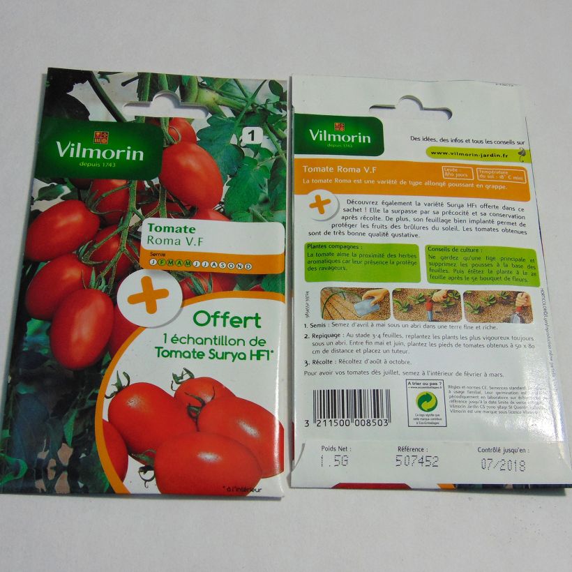 Example of Roma VF Tomato + sample Surya Tomato - Vilmorin seeds specimen as delivered