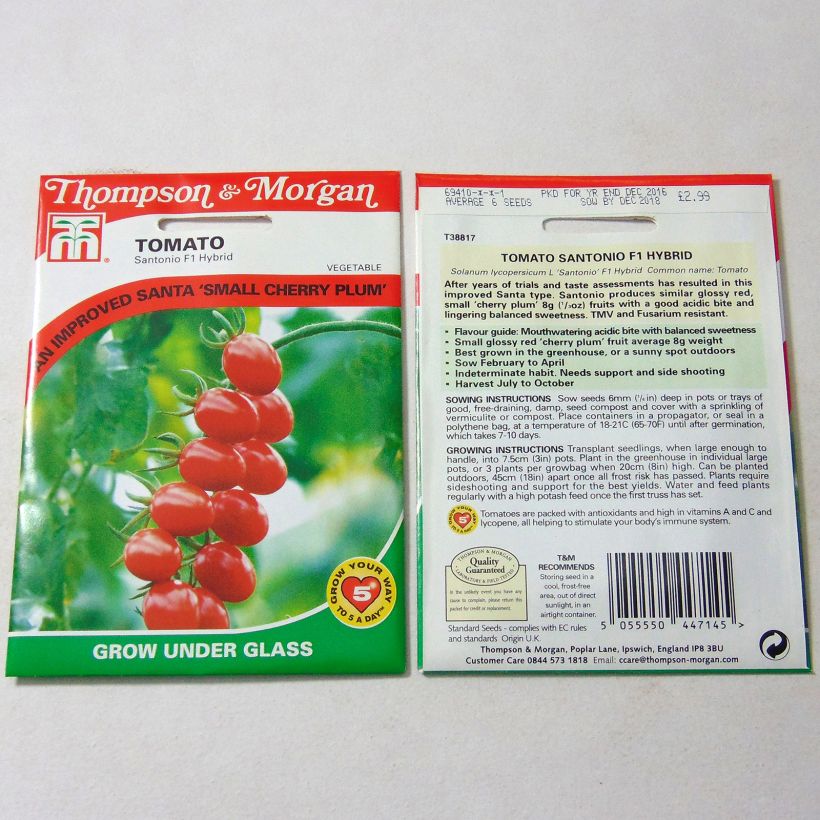 Example of Tomato Santonio F1 per pack of 6 seeds specimen as delivered