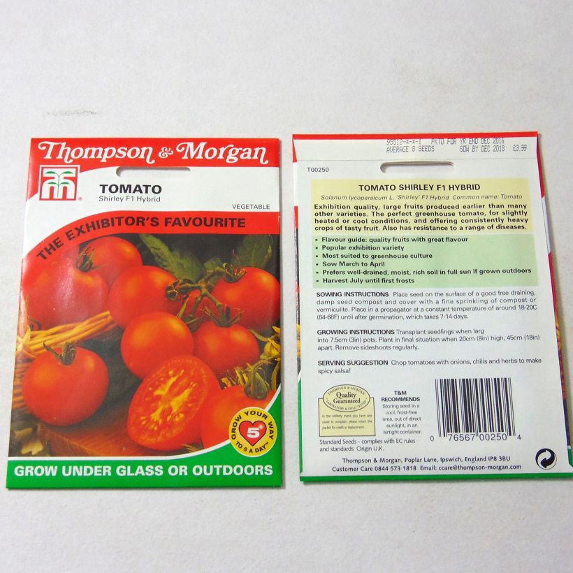 Example of Tomato Shirley F1 per pack of 10 seeds specimen as delivered