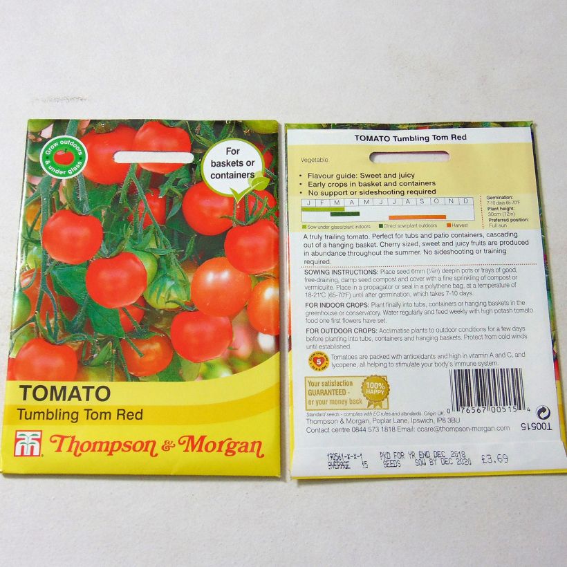 Example of Tomato Tumbling Tom Red specimen as delivered