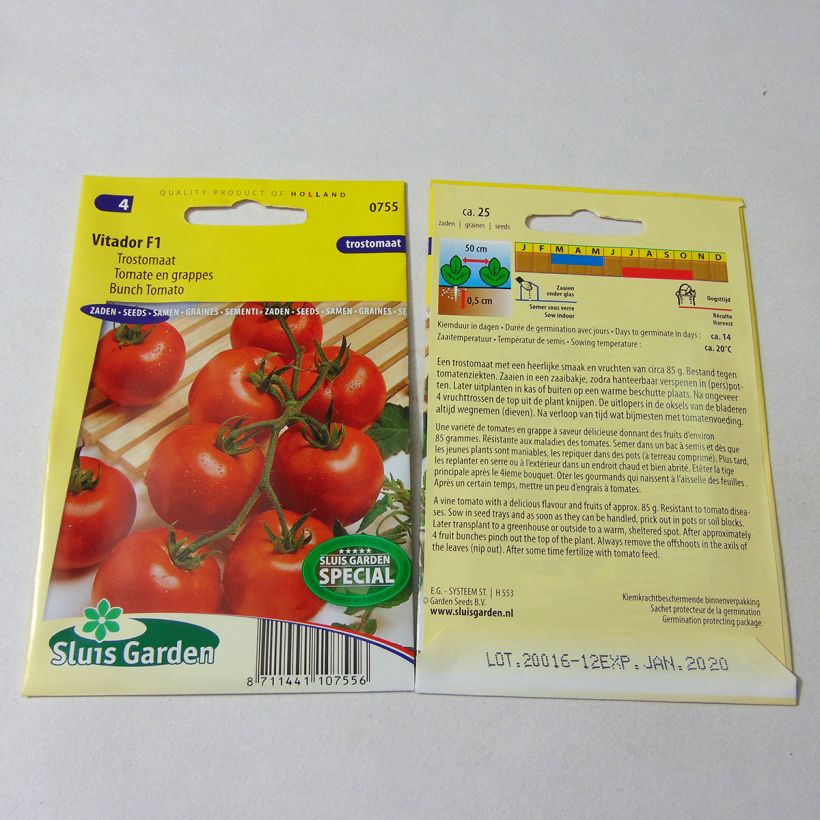 Example of Vitador F1 Cluster Tomato per pack of 25 seeds specimen as delivered