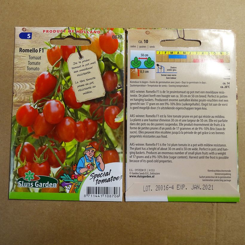 Example of Tomato Romello F1 per pack of 10 seeds specimen as delivered
