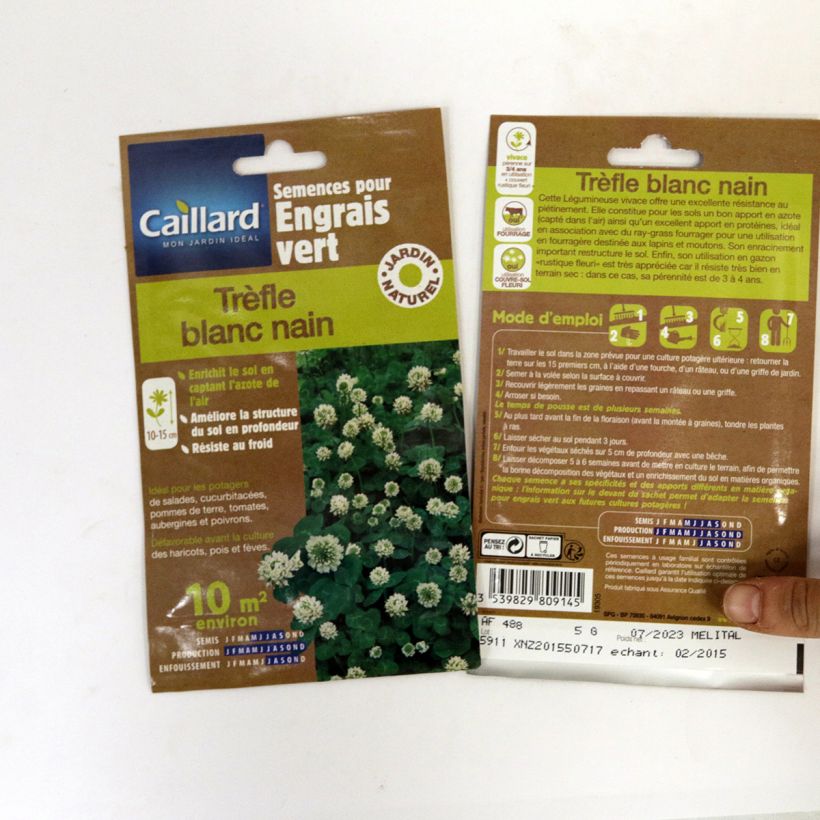 Example of Trifolium repens Dwarf per 5 g seed pack specimen as delivered