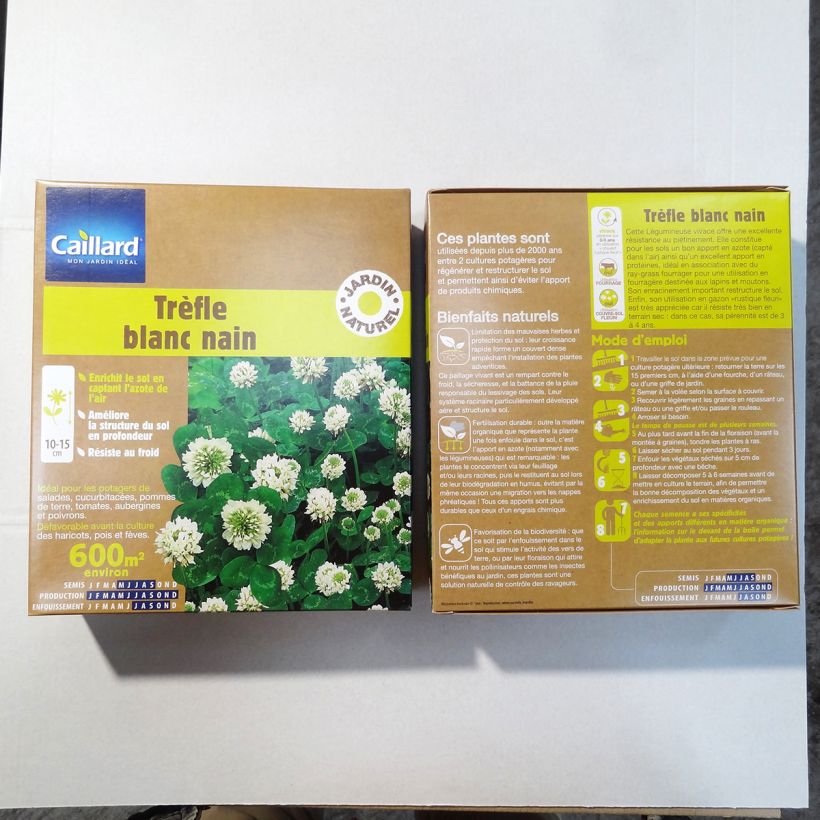 Example of Trifolium repens Dwarf Seeds specimen as delivered