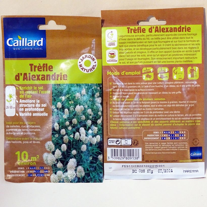 Example of Alexandrian Clover 10 m² - Green Fertiliser Seeds specimen as delivered