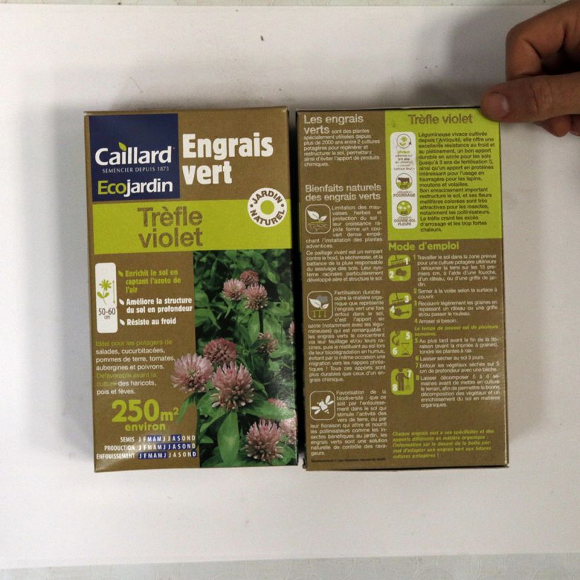 Example of Purple Clover 250 m² - Green Manure Seeds specimen as delivered