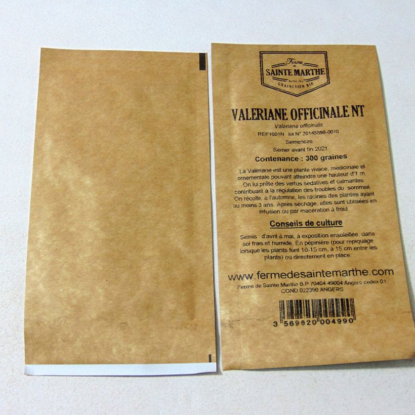 Example of Valériane officinale NT - Ferme de Sainte Marthe per pack of 500 seeds (0,4g) specimen as delivered