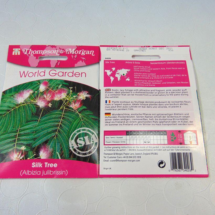 Example of Albizia julibrissin - Silk Tree per pack of 20 seeds (1g) specimen as delivered