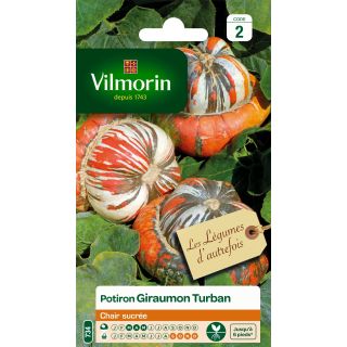 Squash Turks Turban - Vilmorin Seeds