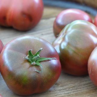 Solanum lycopersicum 'Black Krim'