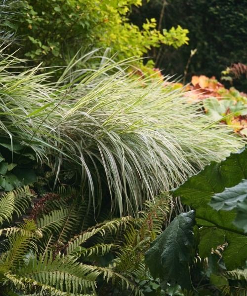 20% off selected plants!