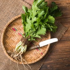 Mizuna Kyoto - untreated Field Mustard seeds - Ferme de Sainte Marthe seeds