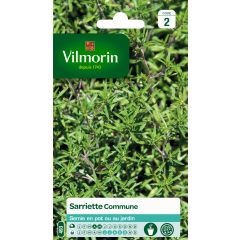 Common Savory - Vilmorin seeds