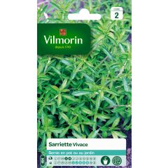 Perennial Savory - Satureja montana - Vilmorin seeds