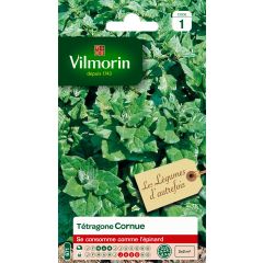 Tetragonia tetragonioides