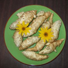 Jerusalem Artichokes - Helianthus tuberosus