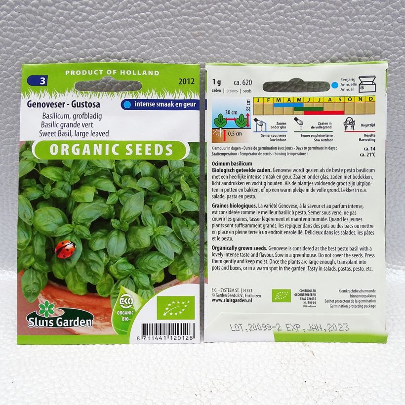 Example of Basil Aton - Genovese basil per pack of 620 seeds (1g) specimen as delivered
