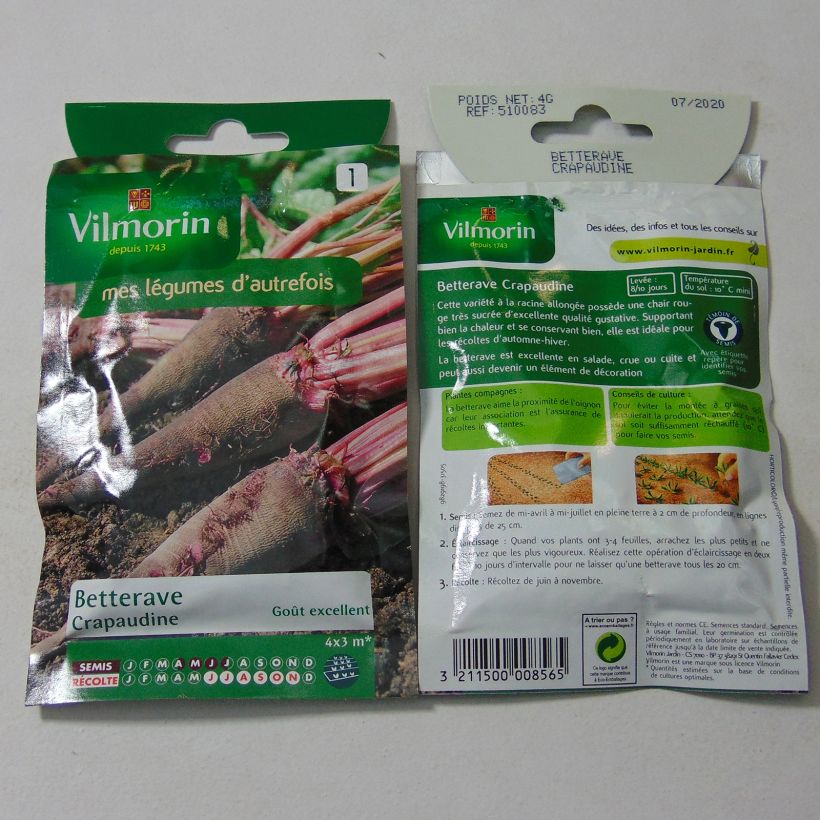 Example of Crapaudine Beetroot - Vilmorin Seeds per pack of 200 seeds (4g) specimen as delivered