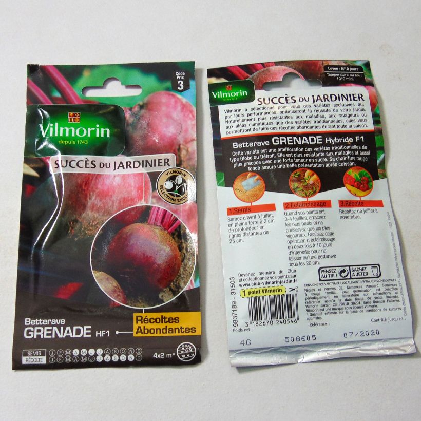 Example of Beetroot Grenade F1 - Vilmorin Seeds per pack of 200 seeds (4g) specimen as delivered