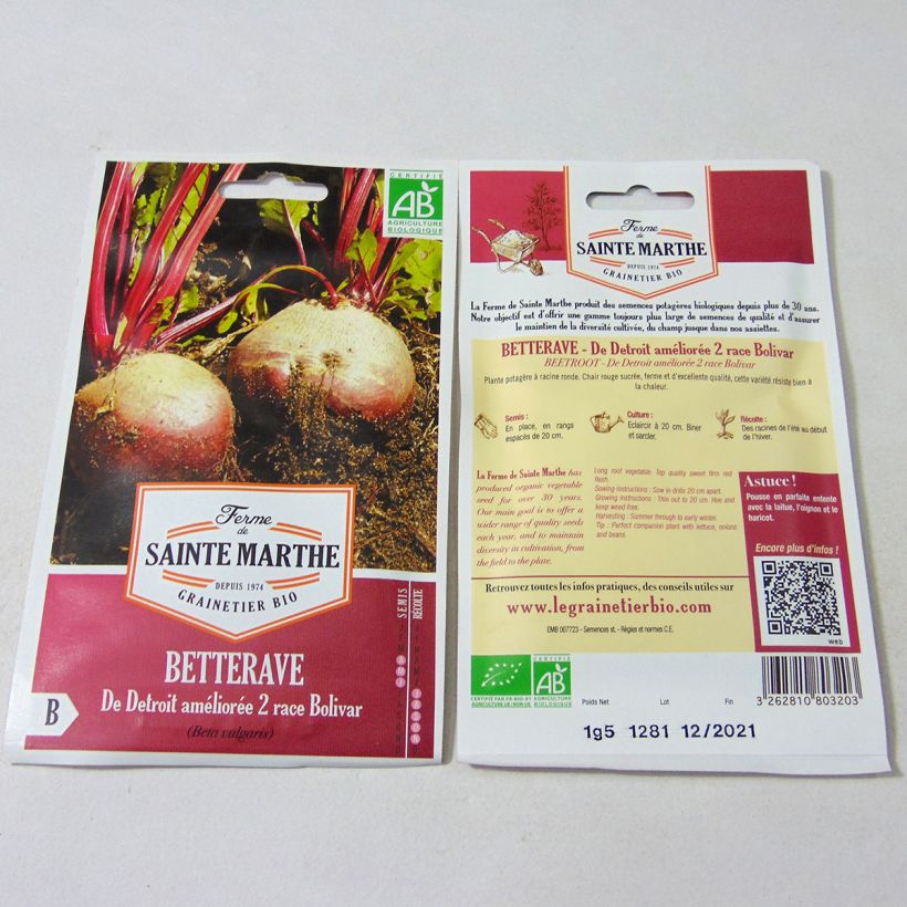 Example of Organic Detroit Improved 2 Bolivar Beetroot - Ferme de Sainte Marthe seeds - Beta vulgaris per pack of 80 seeds (1.5g) specimen as delivered
