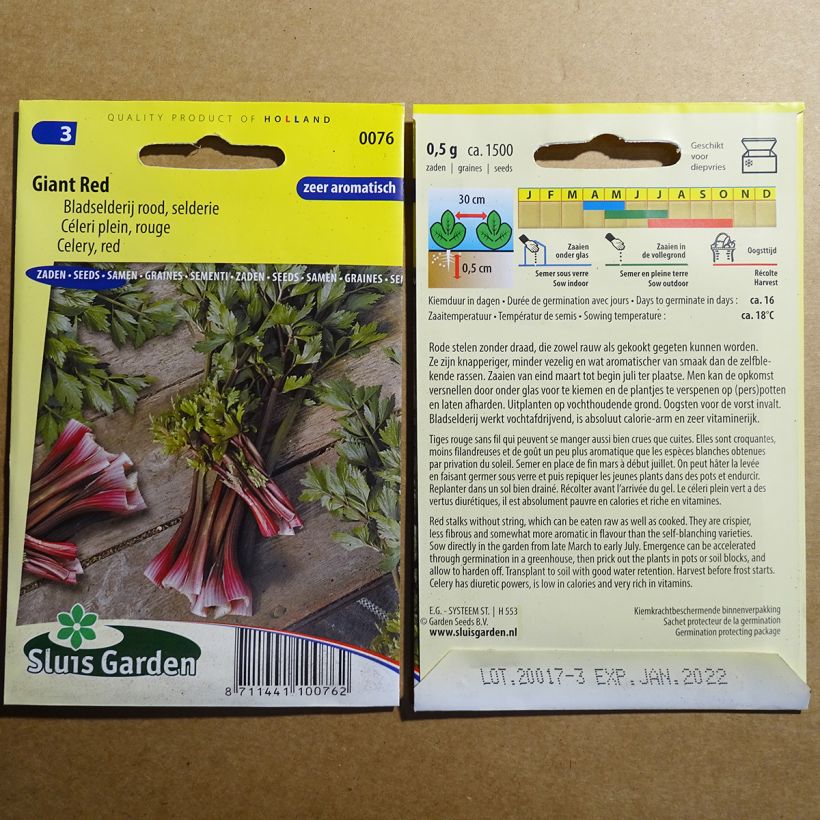 Example of Full Giant Red Celery - Apium graveolens per pack of 1500 seeds specimen as delivered