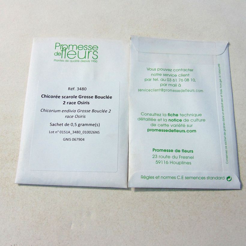 Example of Escarole Grosse Bouclée 2 Osiris per pack of 300 seeds (0.5g) specimen as delivered