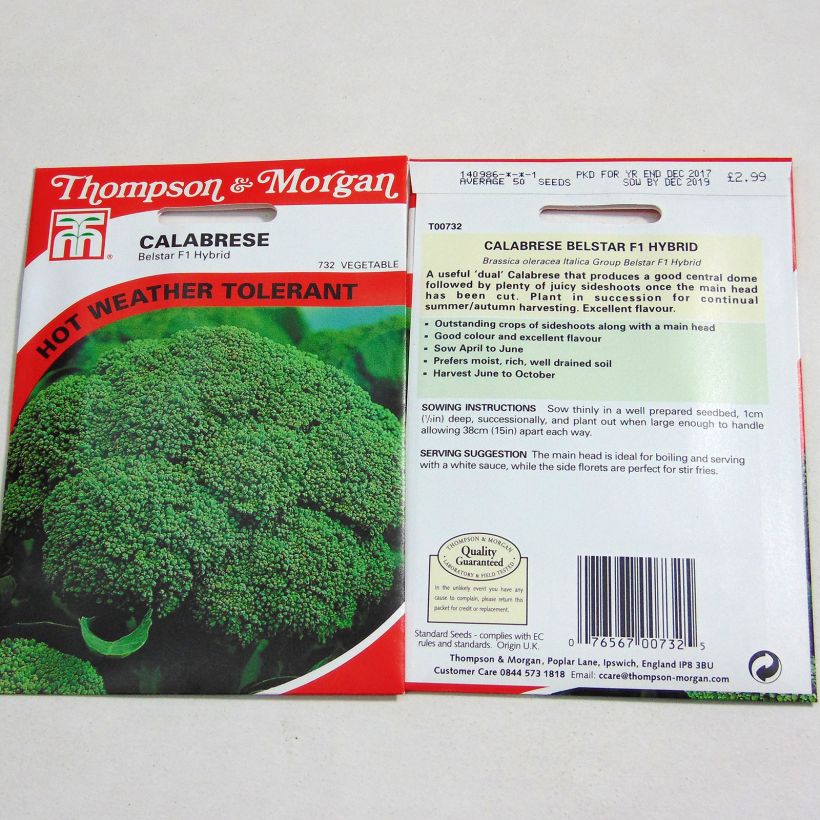 Example of Broccoli Belstar F1 - Brassica oleracea italica per pack of 50 seeds specimen as delivered