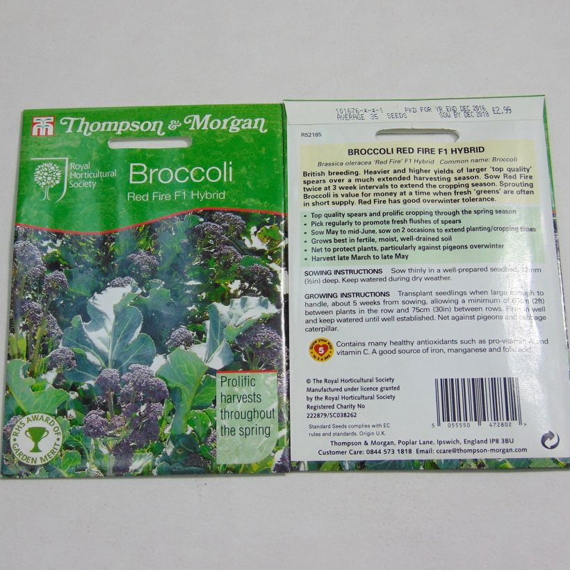 Example of Broccoli Red Fire F1 - Brassica oleracea italica per pack of 35 seeds specimen as delivered
