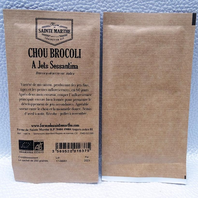 Example of Rapini or Broccoli Raab Novantina - Ferme de Sainte Marthe Seeds per pack of 200 seeds specimen as delivered