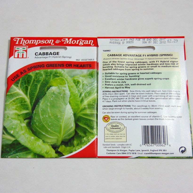 Example of Cabbage Advantage F1 per pack of 50 seeds approximately specimen as delivered