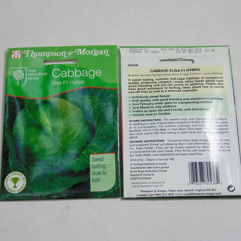 Example of Cabbage Elisa F1 - Brassica oleracea capitata per pack of 45 seeds approximately specimen as delivered