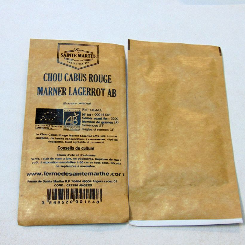Example of Organic Cabbage Marner Lagerrot - Ferme de Sainte Marthe seeds - Brassica oleracea capitata per pack of 80 seeds approximately specimen as delivered