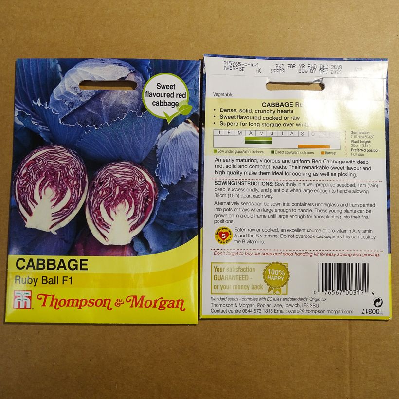 Example of Red Cabbage Ruby Ball F1 - Brassica oleracea capitata per pack of 40 seeds approximately specimen as delivered