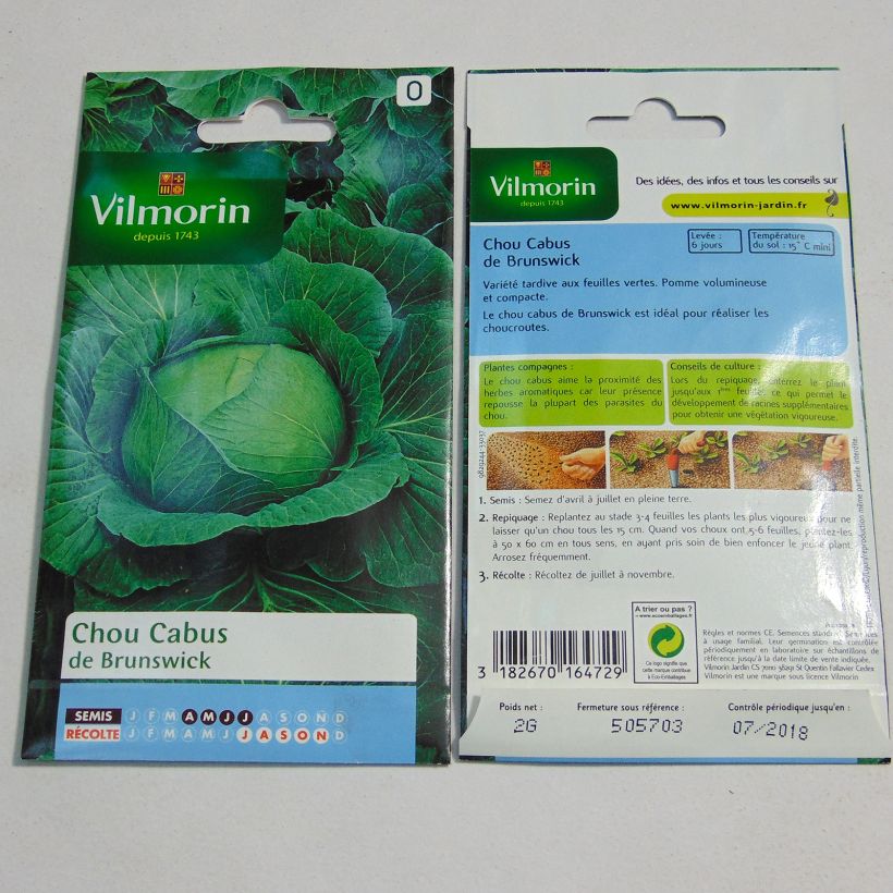 Example of Cabbage Brunswick - Vilmorin Seeds per pack of 800 seeds approximately (2g) specimen as delivered