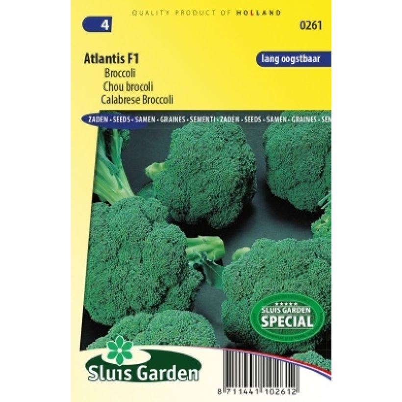 Example of Brassica oleracea Atlantis F1 Seeds specimen as delivered