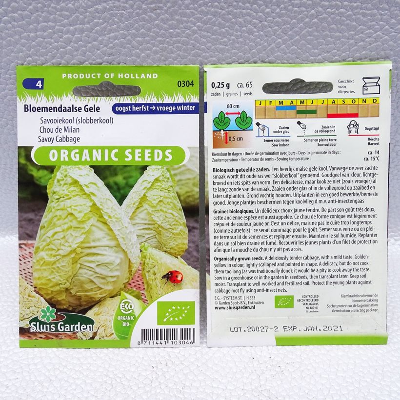 Example of Savoy Cabbage Bloemendaalse Gele Bio per pack of 65 seeds (0,25g) specimen as delivered
