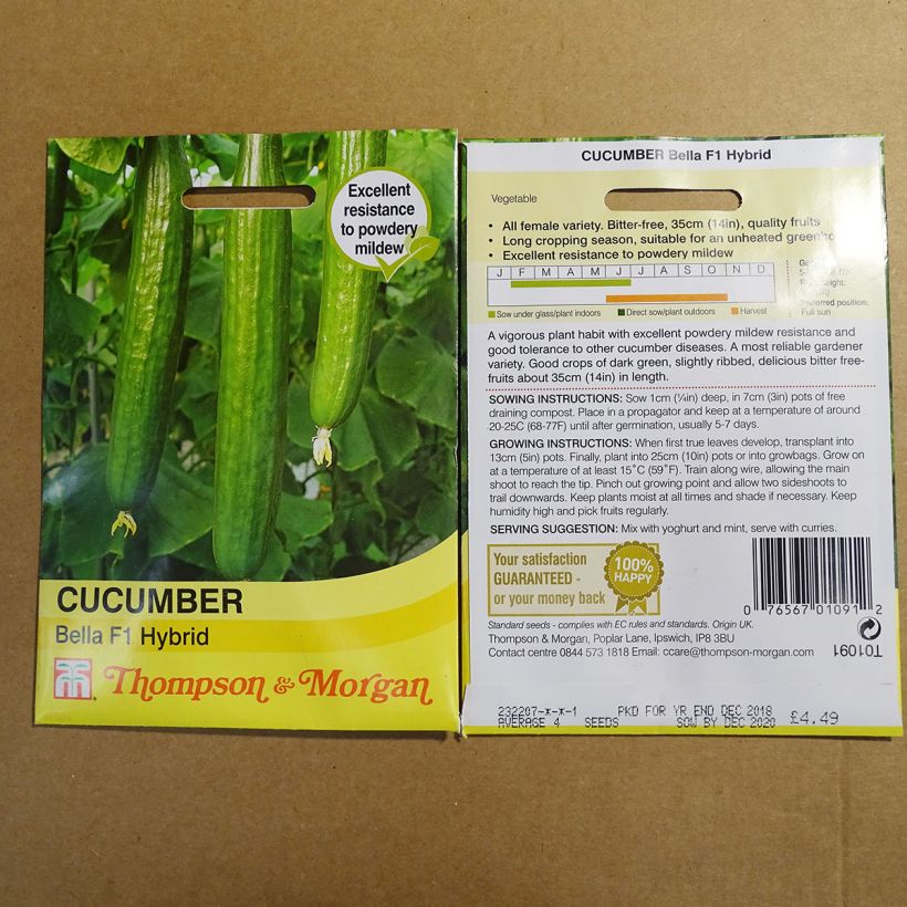 Example of Cucumber Bella - Cucumis sativus per pack of 4 seeds specimen as delivered