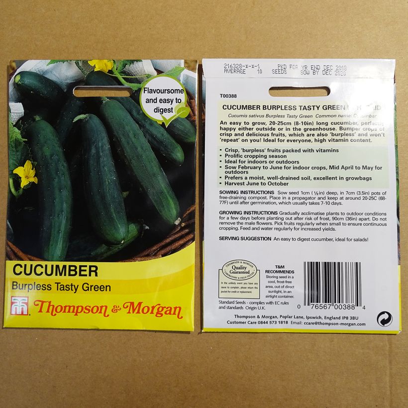 Example of Cucumber Burpless Tasty Green - Cucumis sativus per pack of 10 seeds specimen as delivered